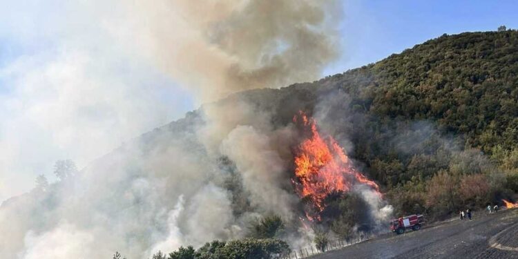 Σσσσσ….Ψίθυροι – Συντάξεις Αυγούστου 2024: Πότε ξεκινούν οι πληρωμές! Απίστευτη ανακοίνωση του Εμπορικού Συλλόγου Ξάνθης