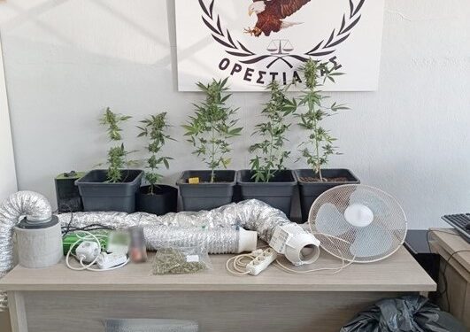 Συνελήφθη ημεδαπός στην Ορεστιάδα για καλλιέργεια και κατοχή ναρκωτικών