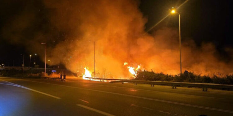    Καβάλα: Φωτιά στην παραλία Οφρυνίου – Συναγερμός στην πυροσβεστική