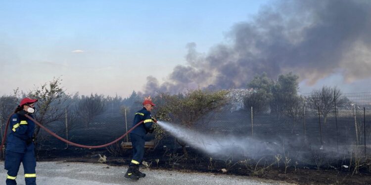 Πυρκαγιά στην Ξάνθη: Ήχησε το 112! – Κίνδυνος λόγω του καπνού σε Κιμμέρια, Πηγάδια, Ν. και Π. Ζυγό. (φώτο)