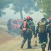 Πυρκαγιές από κεραυνούς στη Θάσο με 2 εστίες – Μεγάλη κινητοποίηση της πυροσβεστικής