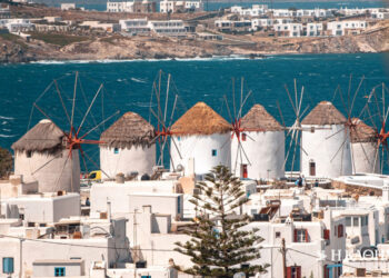 Έλεγχος για τις… γουρούνες στη Μύκονο και το οργανωμένο έγκλημα στο νησί των Ανέμων.