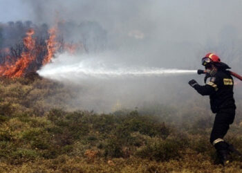 Πυροσβεστική: Σε 42 ανήλθαν οι αγροτοδασικές πυρκαγιές το τελευταίο 24ωρο σε όλη τη χώρα