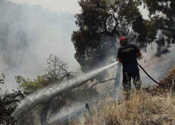 Πυροσβεστική: 30 φωτιές ξέσπασαν το τελευταίο 24ωρο στη χώρα