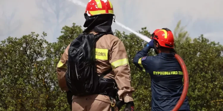 Φωτιά σε χαμηλή βλάστηση στα Αμπελάκια Ροδόπης
