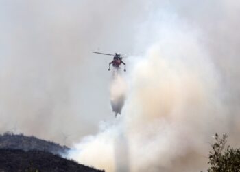 Σέρρες: Πυρκαγιά σε αγροτοδασική έκταση στην Κρηνίδα – Επί τόπου και εναέρια μέσα