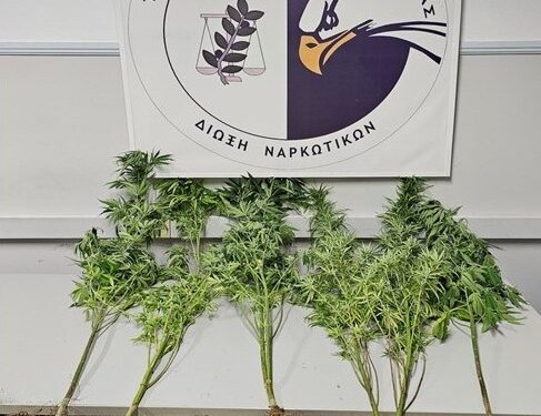 Συνελήφθησαν 11 άτομα για ναρκωτικά σε Καβάλα, Δράμα και Αλεξανδρούπολη