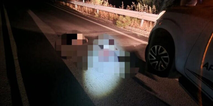 Νεκρά δύο αρκουδάκια μετά από τροχαίο στον δρόμο Φλώρινας – Πτολεμαΐδας