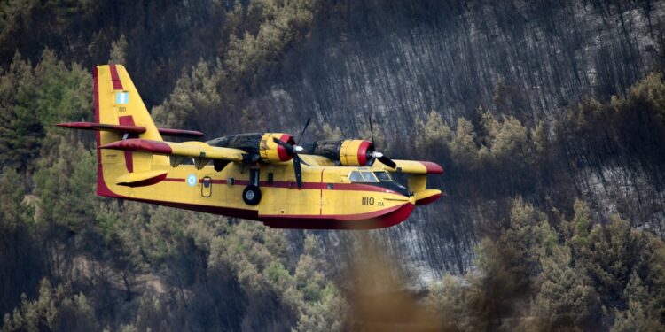 Μόνο καπνοί από τη φωτιά στο όρος Φαλακρό στη Δράμα -Σε ύφεση το μέτωπο στο Λουτράκι