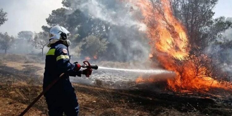 Πυροσβεστική: 52 αγροτοδασικές πυρκαγιές το τελευταίο 24ωρο σε όλη την χώρα Φωτιά