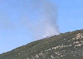 Φωτιά σε δασική έκταση στον Άγιο Κοσμά Καβάλας