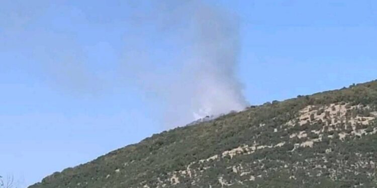 Φωτιά σε δασική έκταση στον Άγιο Κοσμά Καβάλας