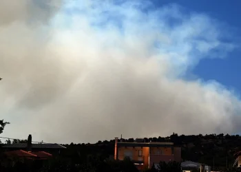 Συνελήφθη μια ηλικιωμένη στον Ωρωπό για πρόκληση πυρκαγιών από πρόθεση και κατ΄ εξακολούθηση