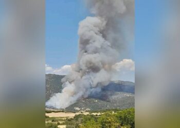 Σε εξέλιξη η φωτιά στη Ροδόπη, ενισχύθηκαν οι δυνάμεις της Πυροσβεστικής (φωτο) -Υπό έλεγχο το μέτωπο στο Σουφλί