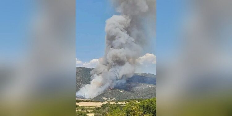 Σε εξέλιξη η φωτιά στη Ροδόπη, ενισχύθηκαν οι δυνάμεις της Πυροσβεστικής (φωτο) -Υπό έλεγχο το μέτωπο στο Σουφλί