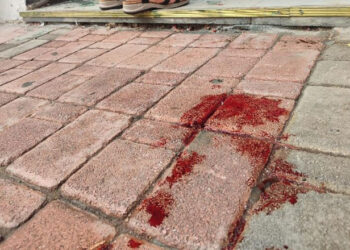 Τραγωδία στην Κατερίνη: Κατέληξε η γυναίκα που έπεσε σε τζαμαρία. Συγκλονιστικές φώτο.