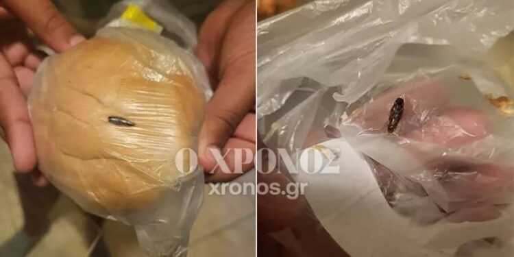 Κομοτηνή: Μαθήτρια βρήκε κατσαρίδα μέσα σε σχολικό γεύμα