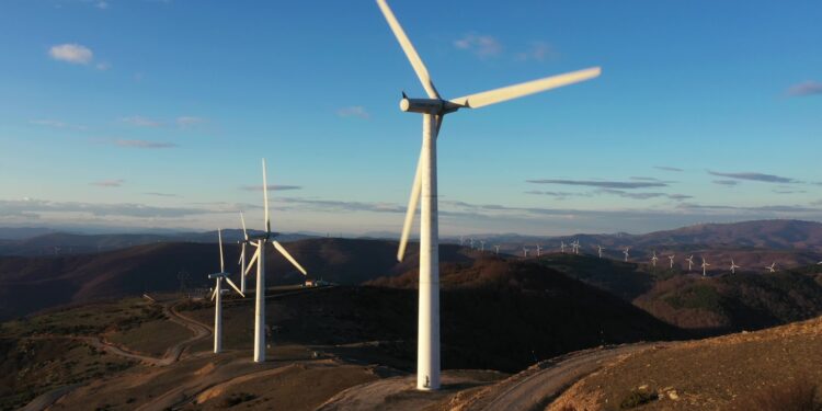 Περιβαλλοντικές οργανώσεις:  Ο υπουργός καθυστερεί αδικαιολόγητα να  προστατεύσει τις πυρόπληκτες περιοχές σε  Έβρο και Ροδόπη από νέους αιολικούς σταθμούς!