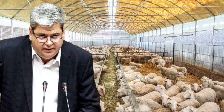 Χουσεΐν Ζεϊμπέκ (Νέα Αριστερά): «Η κωλυσιεργία της κυβέρνησης υπονομεύει τη βιωσιμότητα της κτηνοτροφίας»