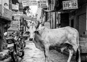 Τα 3 άτυχα ζώδια του Ιανουαρίου 2025 – Θα περάσουν δύσκολα