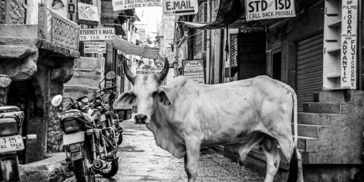 Τα 3 άτυχα ζώδια του Ιανουαρίου 2025 – Θα περάσουν δύσκολα