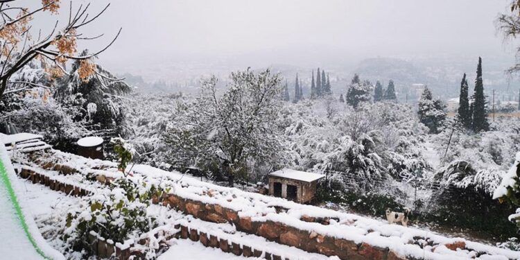 Προβλήματα από τον χιονιά στο οδικό δίκτυο Αν. Μακεδονίας και Θράκης