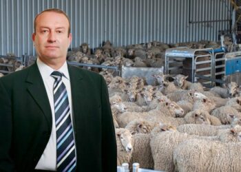 Επιστολή του Δήμαρχου Τοπείρου Θωμά Μίχογλου για την οικονομική ζημιά των κτηνοτρόφων από την απώλεια του ζωικού τους κεφαλαίου λόγω ζωονοσών