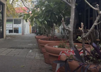 Σέρρες: Η ΕΛΑΣ εξετάζει την εμπλοκή περισσότερων δραστών για την δολοφονία του 34χρονου