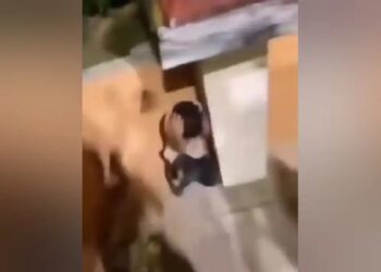 Σοκαριστικό βίντεο από την Κομοτηνή: Ακροδεξιοί τραμπούκισαν μικρό παιδί