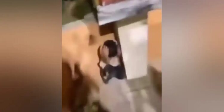 Σοκαριστικό βίντεο από την Κομοτηνή: Ακροδεξιοί τραμπούκισαν μικρό παιδί