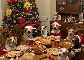 Καλή χρονιά σκυλάκια Mας …. χωρίς άλλα πυροτεχνήματα κρότου!!!