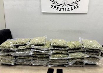 Πάνω από 20 κιλά ακατέργαστης κάνναβης κατασχέθηκαν από τη Δίωξη Ναρκωτικών Ορεστιάδας στον Έβρο.