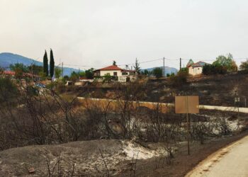 Ευχαριστήρια Επιστολή προς όλους τους δωρητές  υπέρ των πυρόπληκτων κατοίκων της Κίρκης Έβρου