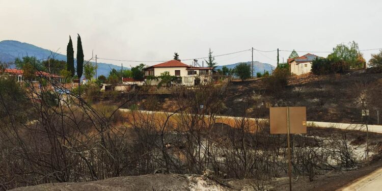 Ευχαριστήρια Επιστολή προς όλους τους δωρητές  υπέρ των πυρόπληκτων κατοίκων της Κίρκης Έβρου