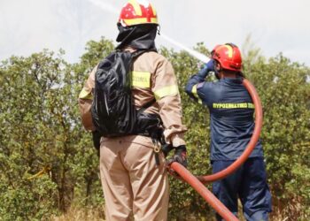 ΑΠίΣΤΕΥΤΟ!  Το χρονικό διάστημα 7, 8 & 9 Μαρτίου σημειώθηκαν στο Ν. Ξάνθης 19 πυρκαγιές!