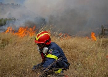 Σσσσ…..Ψίθυροι – Θάσος: Ψαροντουφεκάς «πιάστηκε» νύχτα με 10 κιλά ψάρια και 8 κιλά χταπόδια