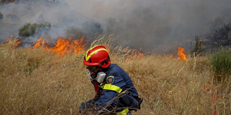Σσσσ…..Ψίθυροι – Θάσος: Ψαροντουφεκάς «πιάστηκε» νύχτα με 10 κιλά ψάρια και 8 κιλά χταπόδια