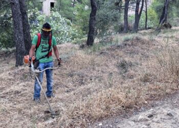 Καθαρισμός οικοπέδων: Υποχρεωτικός από την 1η Απριλίου – Οι διαδικασίες και τα πρόστιμα
