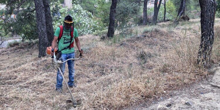 Καθαρισμός οικοπέδων: Υποχρεωτικός από την 1η Απριλίου – Οι διαδικασίες και τα πρόστιμα