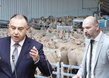 ΧΡΗΣΤΟΣ ΚΕΛΛΑΣ: Ακόμη 18 εκ. ευρώ για αποζημιώσεις από την ευλογιά ή την πανώλη αλλά μόνο για τον Έβρο