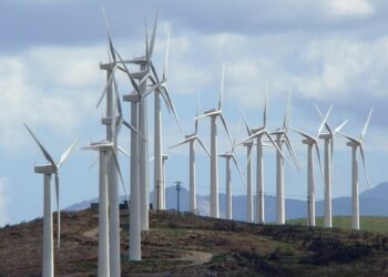 Εξώδικα για τις ανεμογεννήτριες σε αγρότες του βορείου Έβρου – Αντίδραση Παπαδάκη και Λατινοπούλου