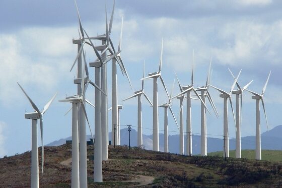 Εξώδικα για τις ανεμογεννήτριες σε αγρότες του βορείου Έβρου – Αντίδραση Παπαδάκη και Λατινοπούλου
