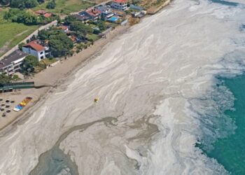 ΕΡΩΤΗΣΗ ΚΚΕ: Επανεμφάνιση της θαλάσσιας βλέννας στο Θρακικό Πέλαγος