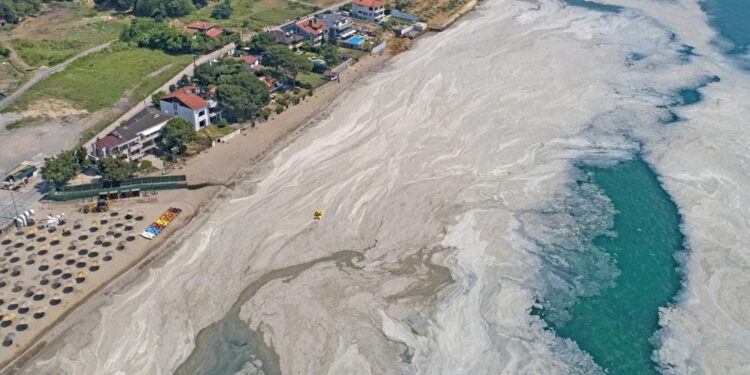 ΕΡΩΤΗΣΗ ΚΚΕ: Επανεμφάνιση της θαλάσσιας βλέννας στο Θρακικό Πέλαγος