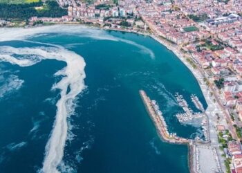 Θρακικό πέλαγος: Η βλέννα «σκοτώνει» τους αλιείς! Η επιστημονική τεκμηρίωση του ΕΛΓΟ.