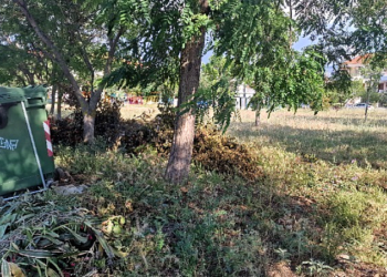 Ανακοινώθηκε η παράταση έως τις 15 Ιουνίου για τις δηλώσεις καθαρισμού οικοπεδικών και ακάλυπτων χώρων