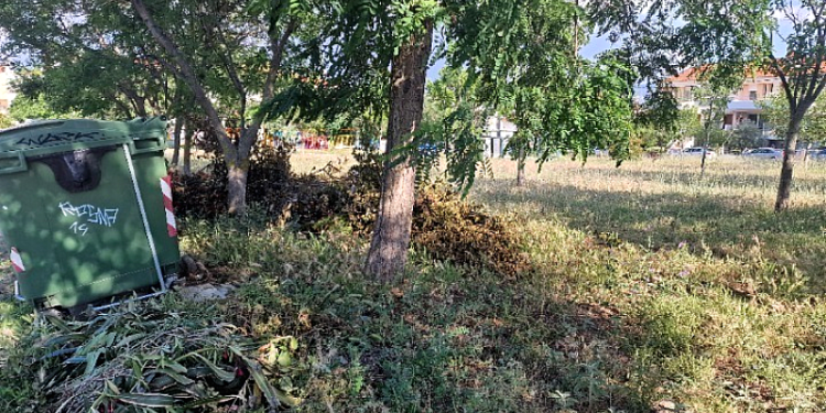 Ανακοινώθηκε η παράταση έως τις 15 Ιουνίου για τις δηλώσεις καθαρισμού οικοπεδικών και ακάλυπτων χώρων