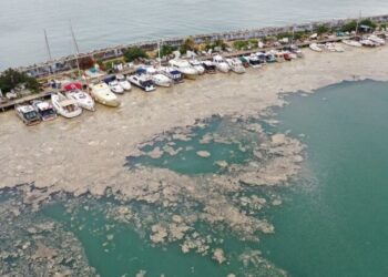 Άσκηση επιχειρησιακής ετοιμότητας για σεισμό και πυρκαγιά στο Γενικό Νοσοκομείο Ξάνθης!