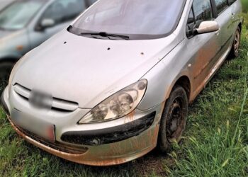 Ροδόπη: Συνελήφθη διακινητής ο οποίος προωθούσε στο εσωτερικό της χώρας 6 μη νόμιμους μετανάστες